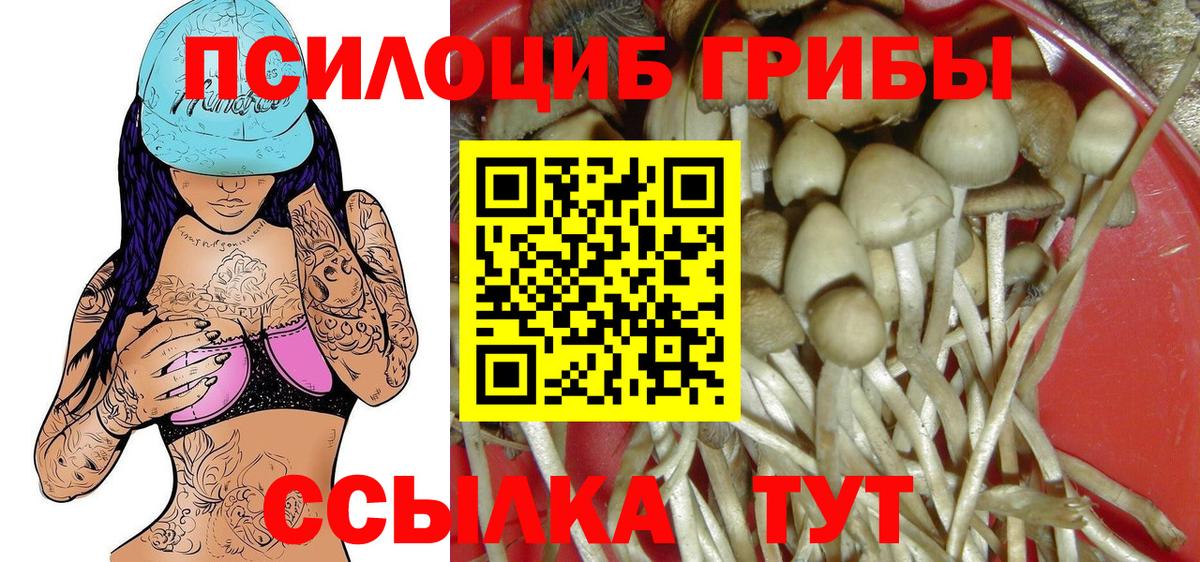 Псилоцибиновые грибы GOLDEN TEACHER  Вход с VPN  Галлюциногенные грибы MAGIC MUSHROOMS  Мелеуз 